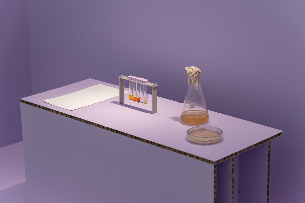Biomateriales — fotografía 10