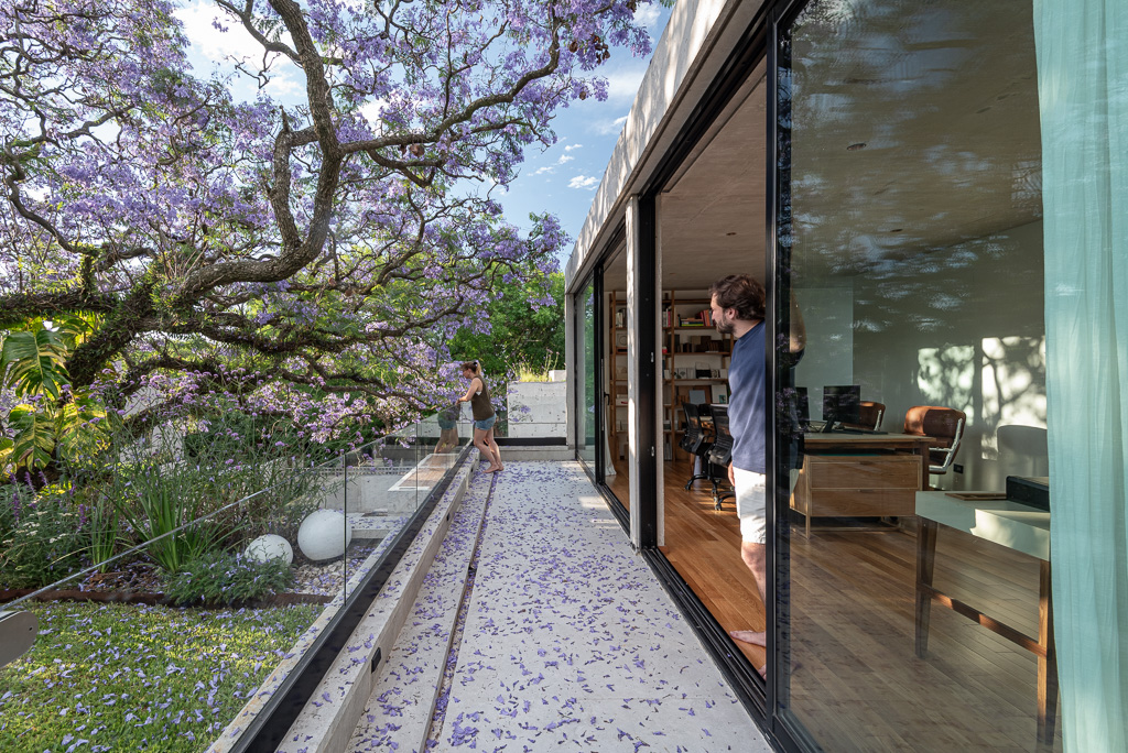 Casa JACA — fotografía 21